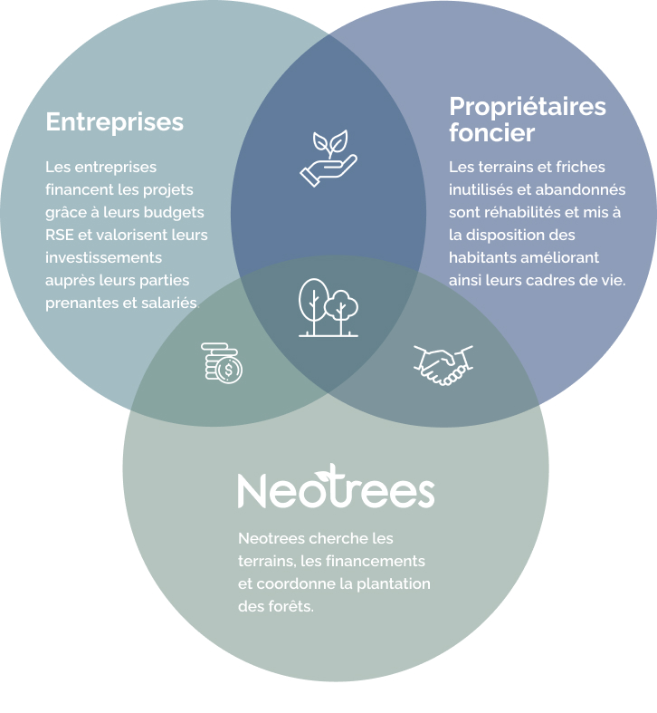 Neotrees - une relation tripartite